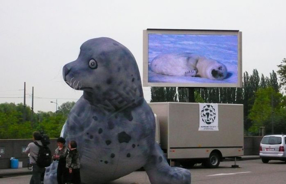 Ultra Thin RGB Truck Mounted LED Display Curtain Led Video Wall Screen Rental