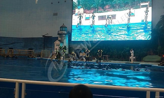 Super Slim HD Indoor SMD LED Display Screen For Aquarium , High Brightness